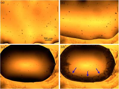 Nanostructure Determines the Wettability of Gold Surfaces by Ionic Liquid Ultrathin Films